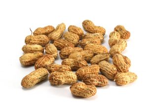food_allergy_peanuts